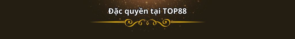 Đặc quyền tại top88